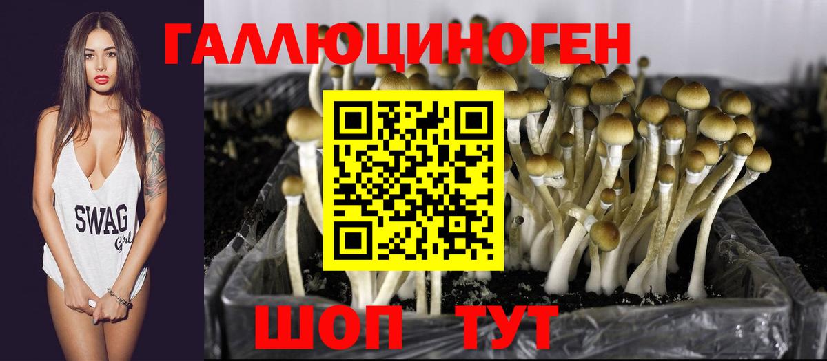 Галлюциногенные грибы Psilocybe  Галлюциногенные грибы MAGIC MUSHROOMS  Вход с VPN  Бор 