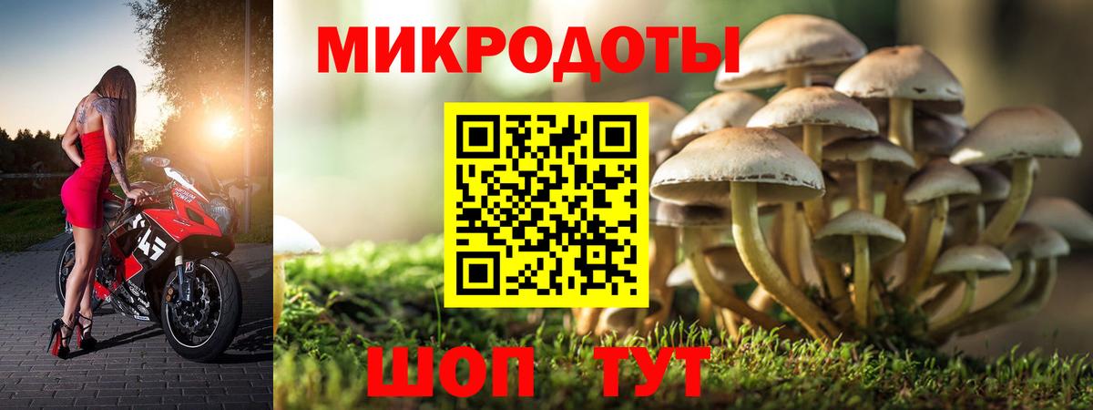 Псилоцибиновые грибы Cubensis Бор